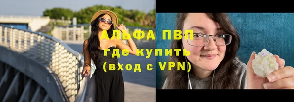 дживик Гусь-Хрустальный