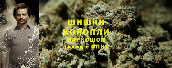 дживик Гусь-Хрустальный