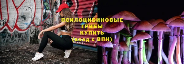 дживик Гусь-Хрустальный